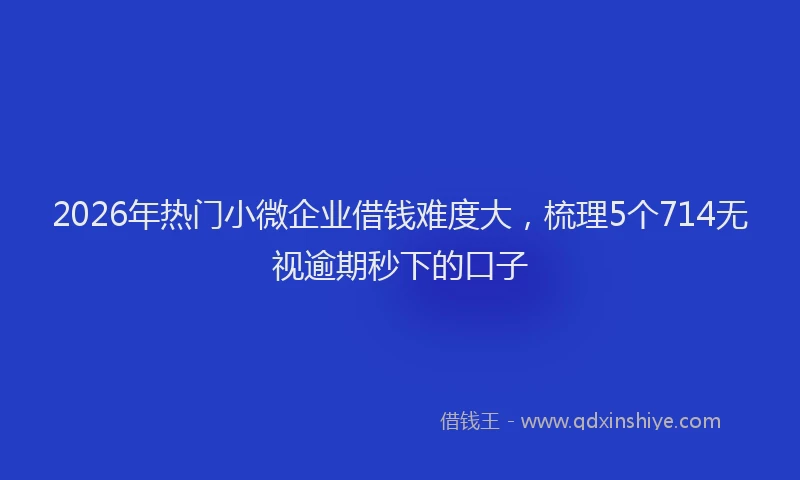 2026年热门小微企业借钱难度大，梳理5个714无视逾期秒下的口子