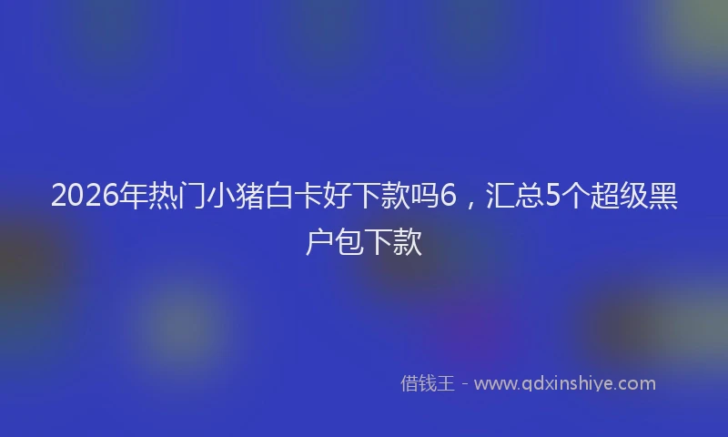 2026年热门小猪白卡好下款吗6，汇总5个超级黑户包下款