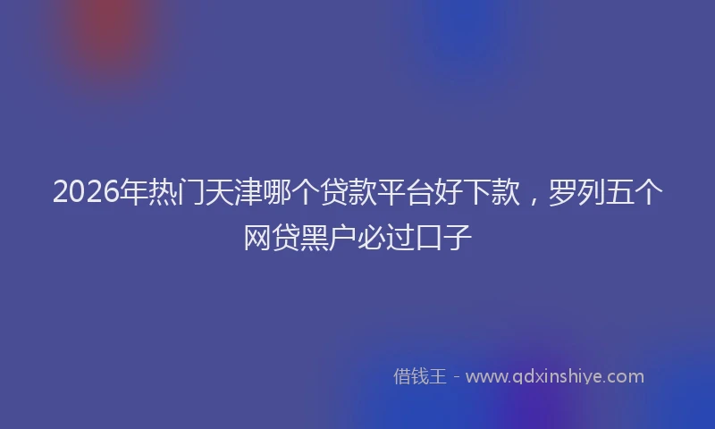 2026年热门天津哪个贷款平台好下款，罗列五个网贷黑户必过口子
