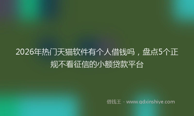 2026年热门天猫软件有个人借钱吗，盘点5个正规不看征信的小额贷款平台