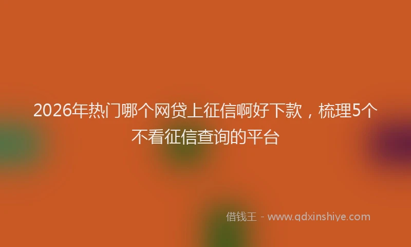 2026年热门哪个网贷上征信啊好下款，梳理5个不看征信查询的平台