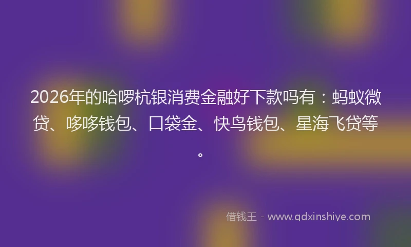 2026年的哈啰杭银消费金融好下款吗有：蚂蚁微贷、哆哆钱包、口袋金、快鸟钱包、星海飞贷等。