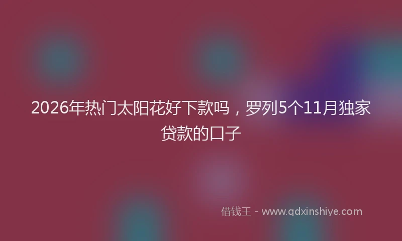 2026年热门太阳花好下款吗，罗列5个11月独家贷款的口子