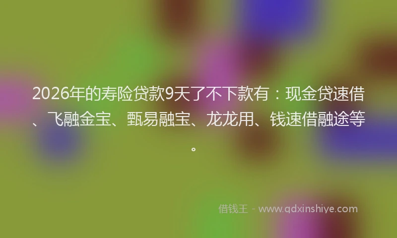 2026年的寿险贷款9天了不下款有：现金贷速借、飞融金宝、甄易融宝、龙龙用、钱速借融途等。