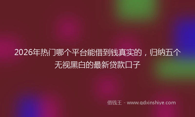 2026年热门哪个平台能借到钱真实的，归纳五个无视黑白的最新贷款口子