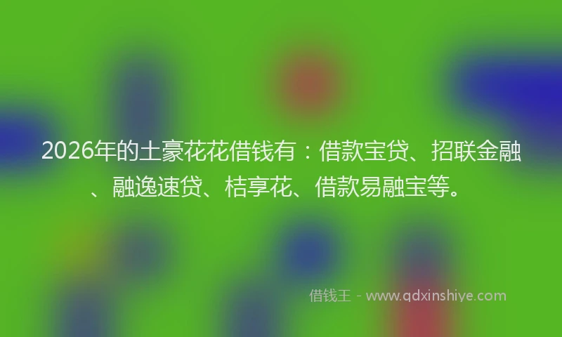 2026年的土豪花花借钱有：借款宝贷、招联金融、融逸速贷、桔享花、借款易融宝等。