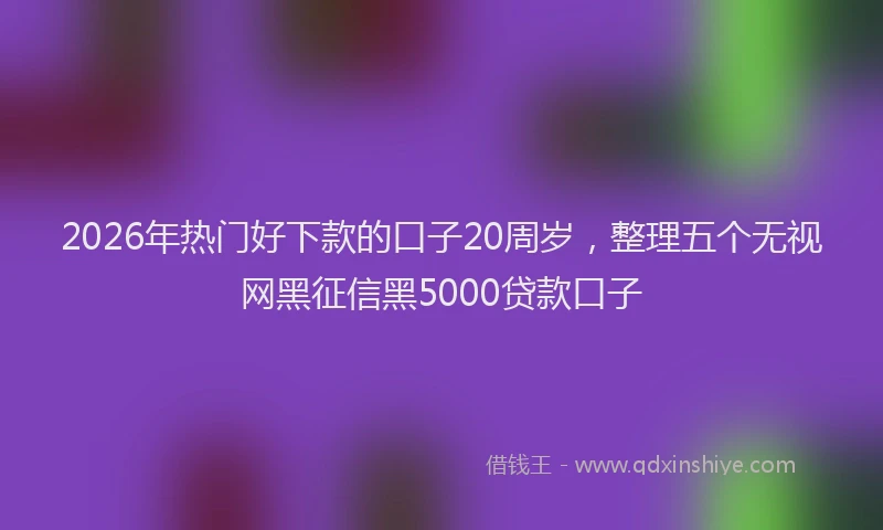 2026年热门好下款的口子20周岁，整理五个无视网黑征信黑5000贷款口子