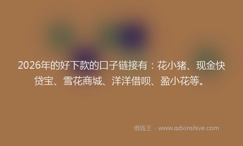 2026年的好下款的口子链接有：花小猪、现金快贷宝、雪花商城、洋洋借呗、盈小花等。