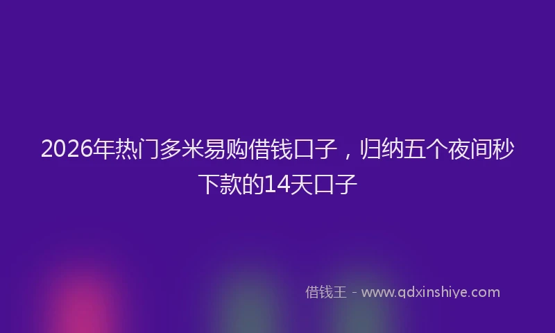 2026年热门多米易购借钱口子，归纳五个夜间秒下款的14天口子