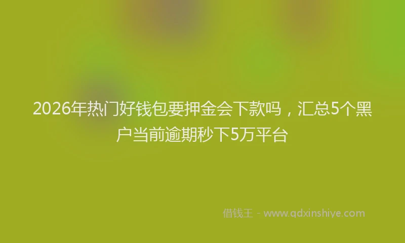 2026年热门好钱包要押金会下款吗，汇总5个黑户当前逾期秒下5万平台