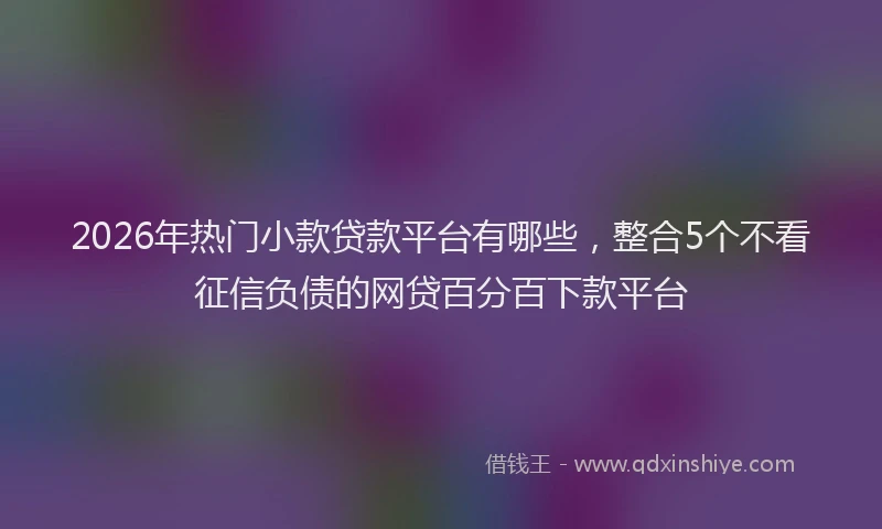 2026年热门小款贷款平台有哪些，整合5个不看征信负债的网贷百分百下款平台
