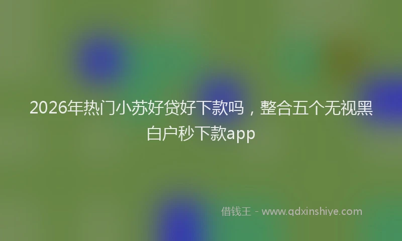 2026年热门小苏好贷好下款吗，整合五个无视黑白户秒下款app