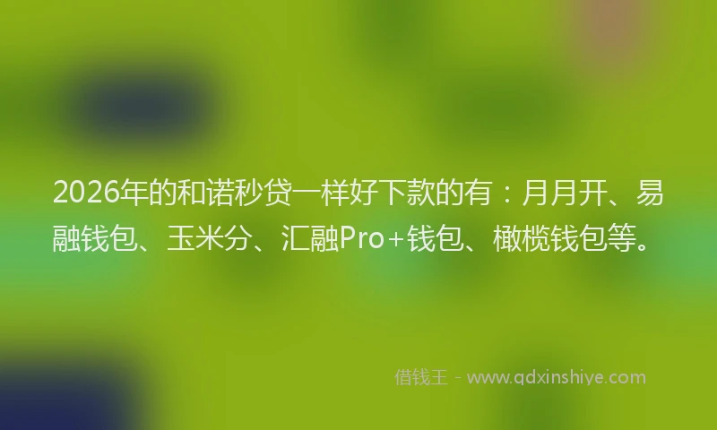 2026年的和诺秒贷一样好下款的有：月月开、易融钱包、玉米分、汇融Pro+钱包、橄榄钱包等。
