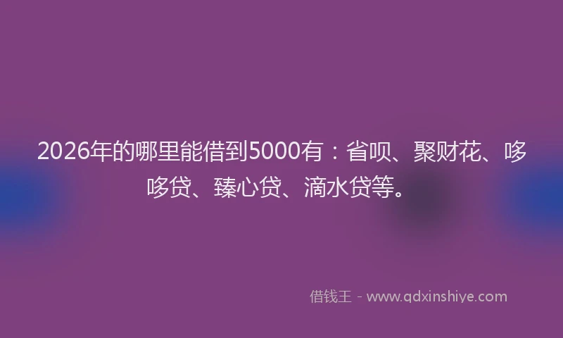 2026年的哪里能借到5000有：省呗、聚财花、哆哆贷、臻心贷、滴水贷等。