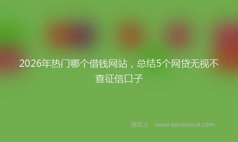 2026年热门哪个借钱网站，总结5个网贷无视不查征信口子
