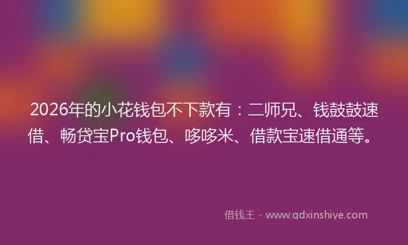 2026年的小花钱包不下款有：二师兄、钱鼓鼓速借、畅贷宝Pro钱包、哆哆米、借款宝速借通等。