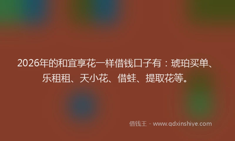 2026年的和宜享花一样借钱口子有：琥珀买单、乐租租、天小花、借蛙、提取花等。