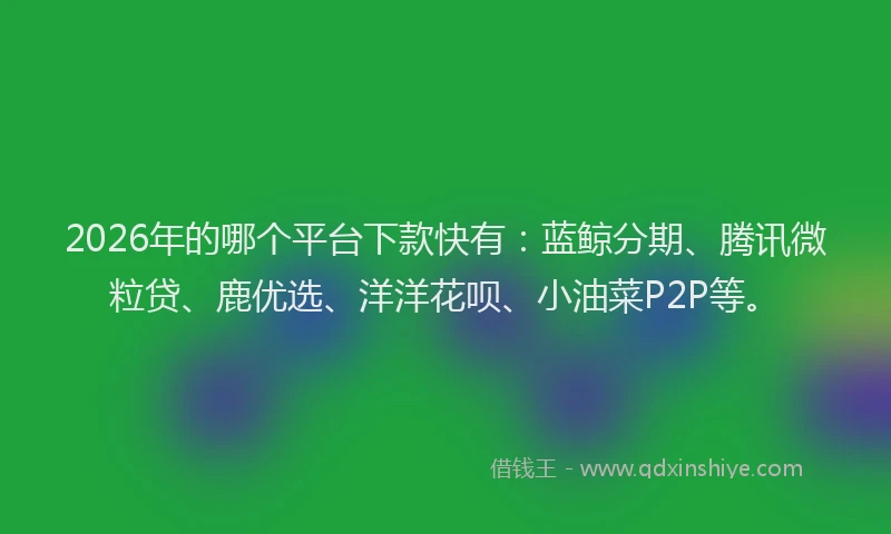 2026年的哪个平台下款快有：蓝鲸分期、腾讯微粒贷、鹿优选、洋洋花呗、小油菜P2P等。