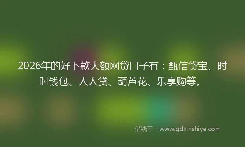 2026年的好下款大额网贷口子有：甄信贷宝、时时钱包、人人贷、葫芦花、乐享购等。