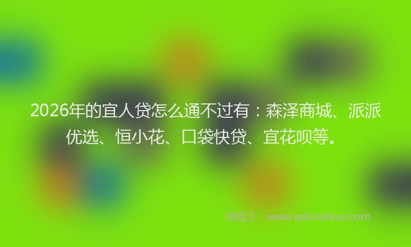 2026年的宜人贷怎么通不过有：森泽商城、派派优选、恒小花、口袋快贷、宜花呗等。