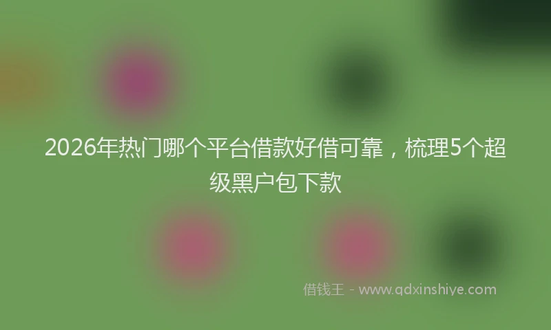 2026年热门哪个平台借款好借可靠，梳理5个超级黑户包下款