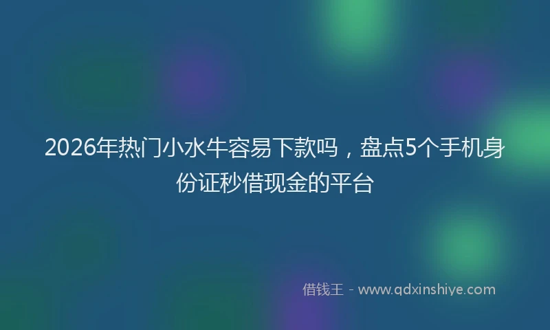 2026年热门小水牛容易下款吗，盘点5个手机身份证秒借现金的平台