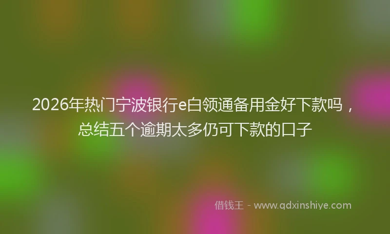 2026年热门宁波银行e白领通备用金好下款吗，总结五个逾期太多仍可下款的口子
