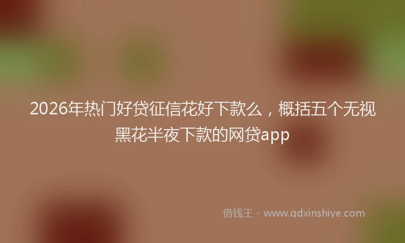 2026年热门好贷征信花好下款么，概括五个无视黑花半夜下款的网贷app