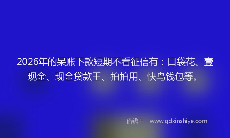 2026年的呆账下款短期不看征信有：口袋花、壹现金、现金贷款王、拍拍用、快鸟钱包等。