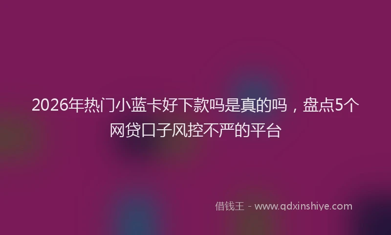 2026年热门小蓝卡好下款吗是真的吗，盘点5个网贷口子风控不严的平台