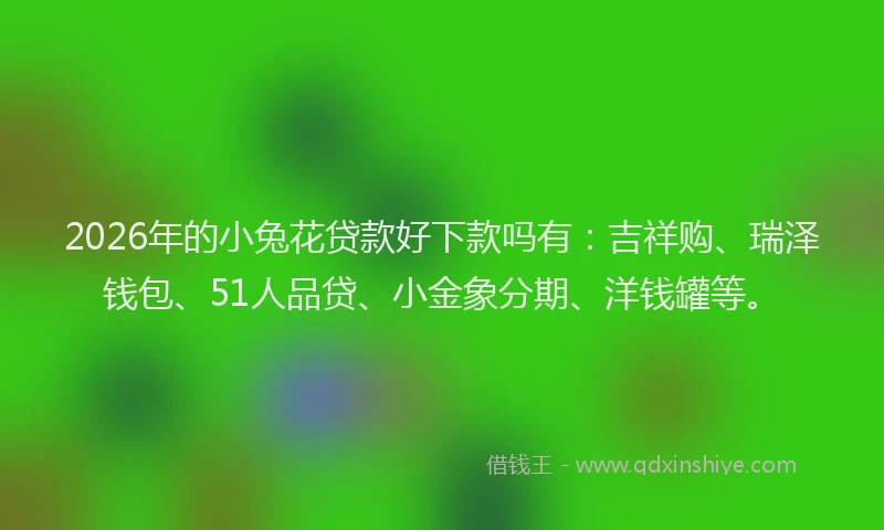 2026年的小兔花贷款好下款吗有：吉祥购、瑞泽钱包、51人品贷、小金象分期、洋钱罐等。