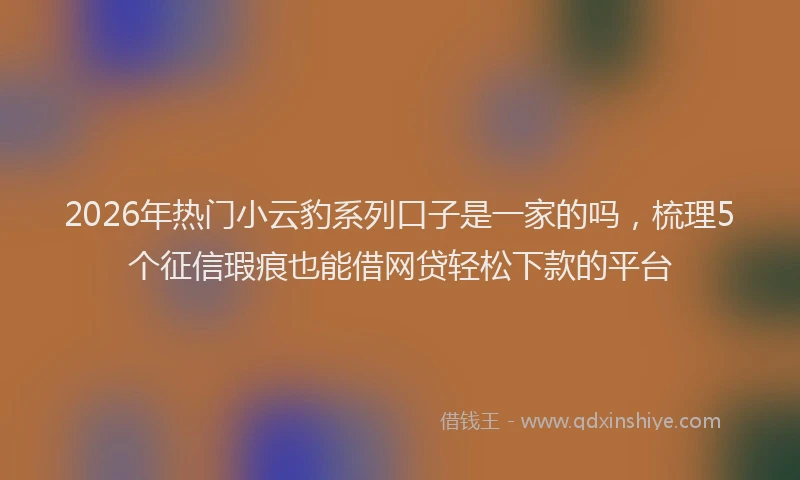 2026年热门小云豹系列口子是一家的吗，梳理5个征信瑕疵也能借网贷轻松下款的平台