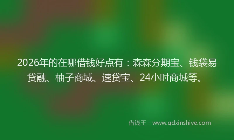 2026年的在哪借钱好点有：森森分期宝、钱袋易贷融、柚子商城、速贷宝、24小时商城等。