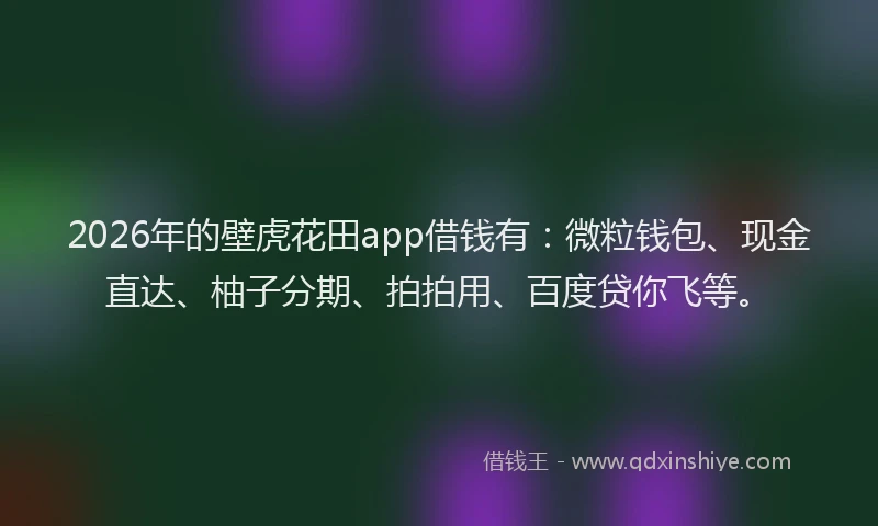 2026年的壁虎花田app借钱有：微粒钱包、现金直达、柚子分期、拍拍用、百度贷你飞等。