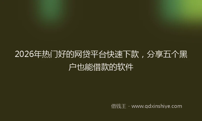 2026年热门好的网贷平台快速下款，分享五个黑户也能借款的软件