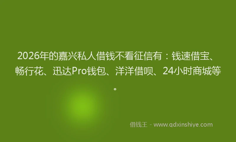 2026年的嘉兴私人借钱不看征信有：钱速借宝、畅行花、迅达Pro钱包、洋洋借呗、24小时商城等。