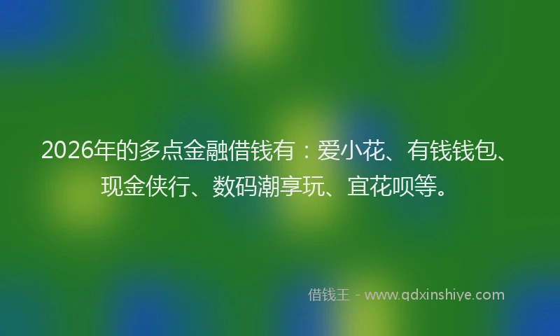 2026年的多点金融借钱有：爱小花、有钱钱包、现金侠行、数码潮享玩、宜花呗等。