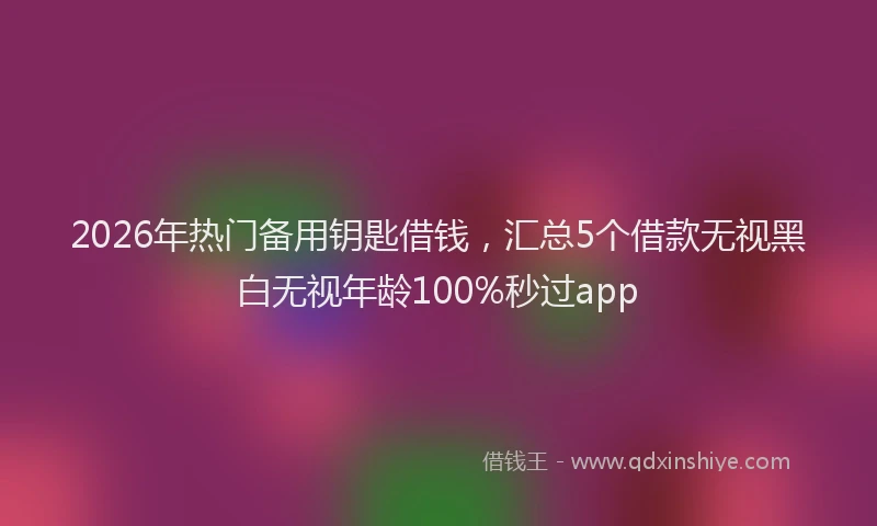 2026年热门备用钥匙借钱，汇总5个借款无视黑白无视年龄100%秒过app