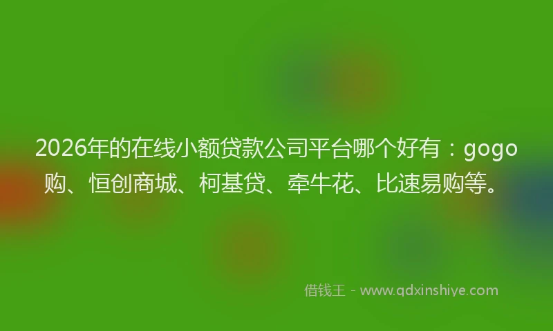 2026年的在线小额贷款公司平台哪个好有：gogo购、恒创商城、柯基贷、牵牛花、比速易购等。