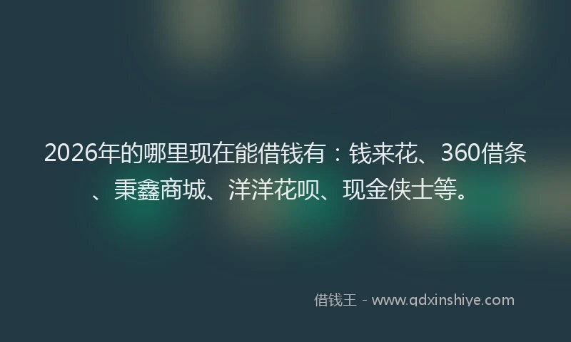 2026年的哪里现在能借钱有：钱来花、360借条、秉鑫商城、洋洋花呗、现金侠士等。