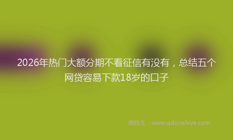 2026年热门大额分期不看征信有没有，总结五个网贷容易下款18岁的口子