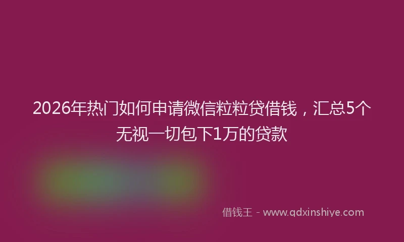 2026年热门如何申请微信粒粒贷借钱，汇总5个无视一切包下1万的贷款