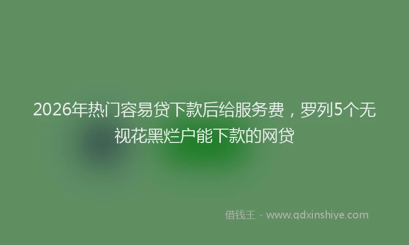 2026年热门容易贷下款后给服务费，罗列5个无视花黑烂户能下款的网贷