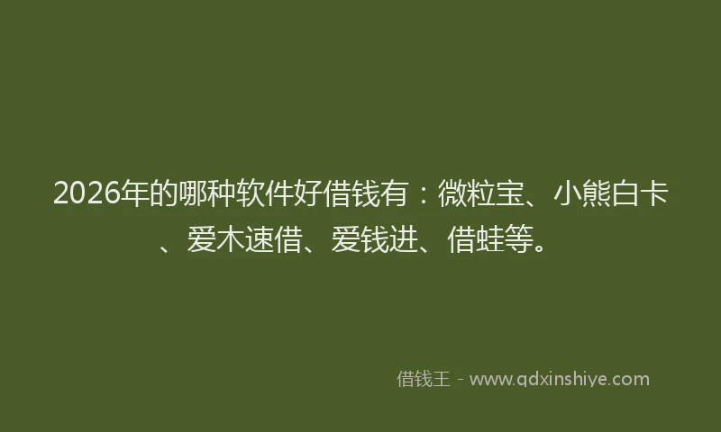 2026年的哪种软件好借钱有：微粒宝、小熊白卡、爱木速借、爱钱进、借蛙等。