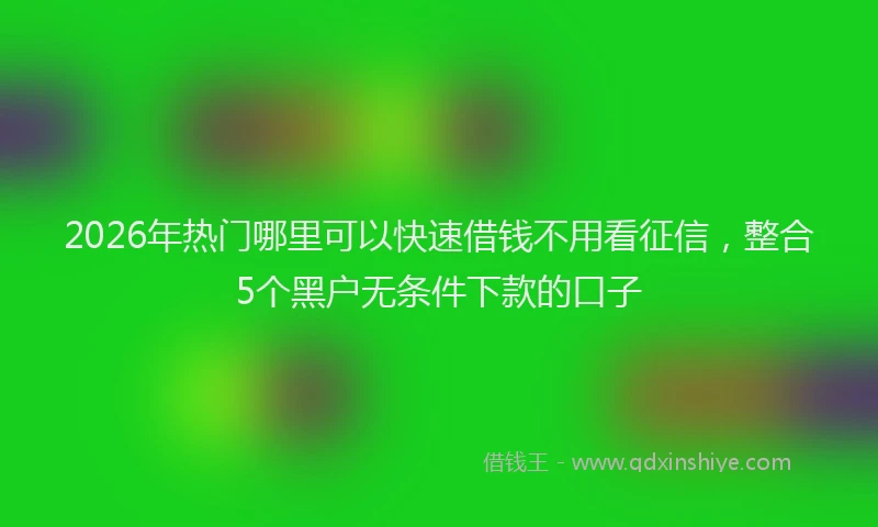 2026年热门哪里可以快速借钱不用看征信，整合5个黑户无条件下款的口子