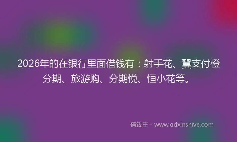 2026年的在银行里面借钱有：射手花、翼支付橙分期、旅游购、分期悦、恒小花等。