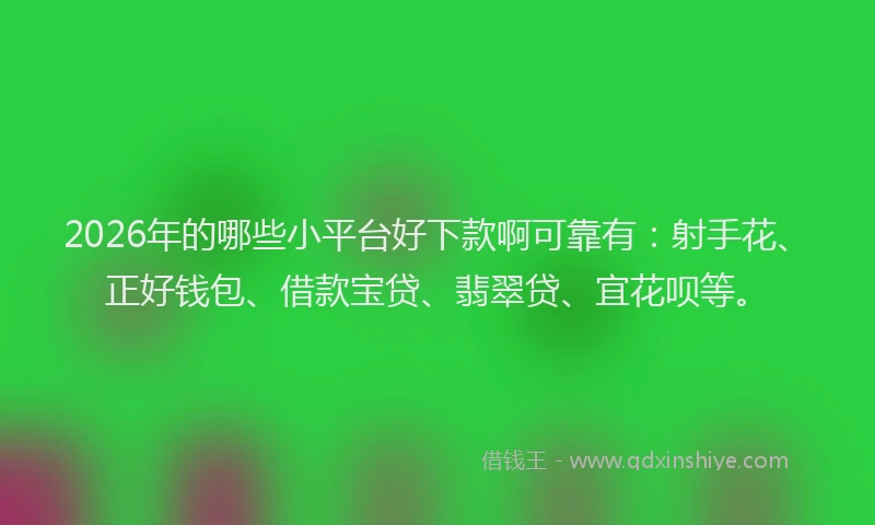 2026年的哪些小平台好下款啊可靠有：射手花、正好钱包、借款宝贷、翡翠贷、宜花呗等。