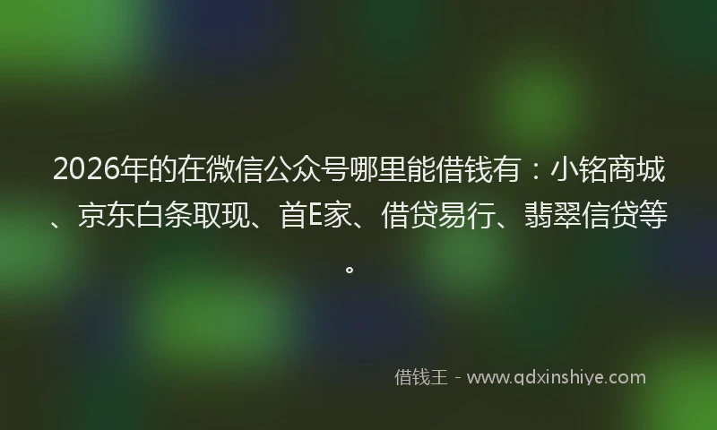 2026年的在微信公众号哪里能借钱有：小铭商城、京东白条取现、首E家、借贷易行、翡翠信贷等。