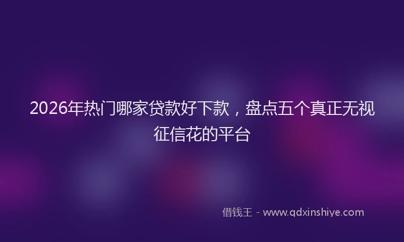 2026年热门哪家贷款好下款，盘点五个真正无视征信花的平台