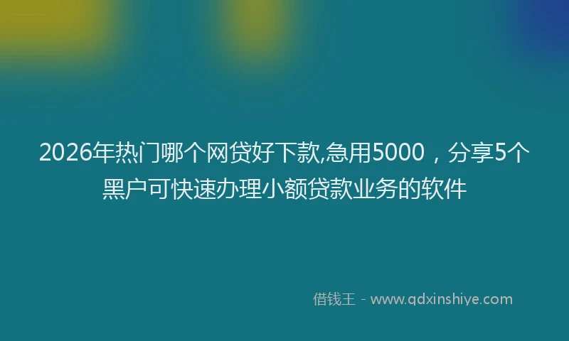 2026年热门哪个网贷好下款,急用5000，分享5个黑户可快速办理小额贷款业务的软件